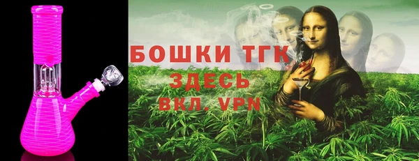 тгк Алексин