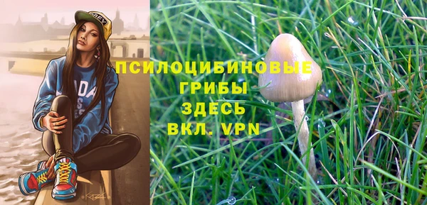 марки lsd Алзамай