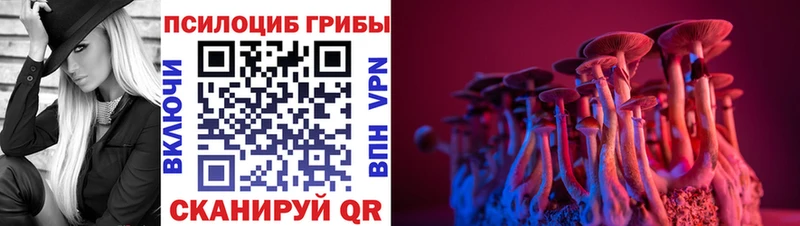 Псилоцибиновые грибы Psilocybe  цена   кракен рабочий сайт  Похвистнево 